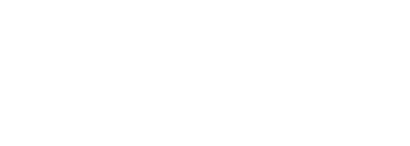 The Other