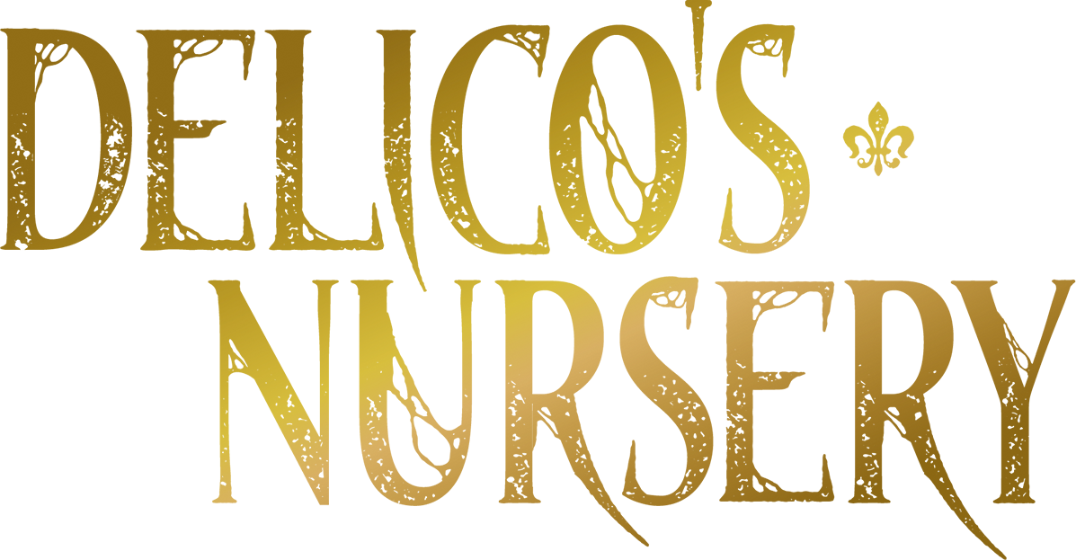 Delico's Nursery