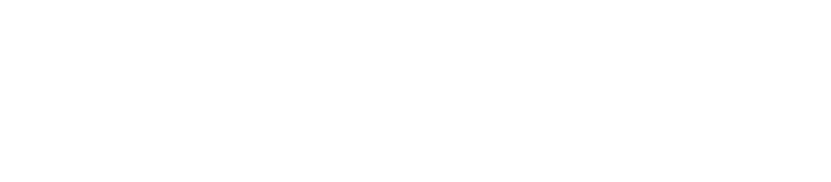 Ashley Madison: Sex, Lies & Scandal