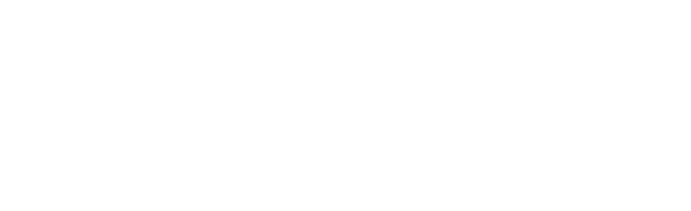 Phenomena