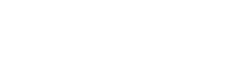 The Wandering Earth