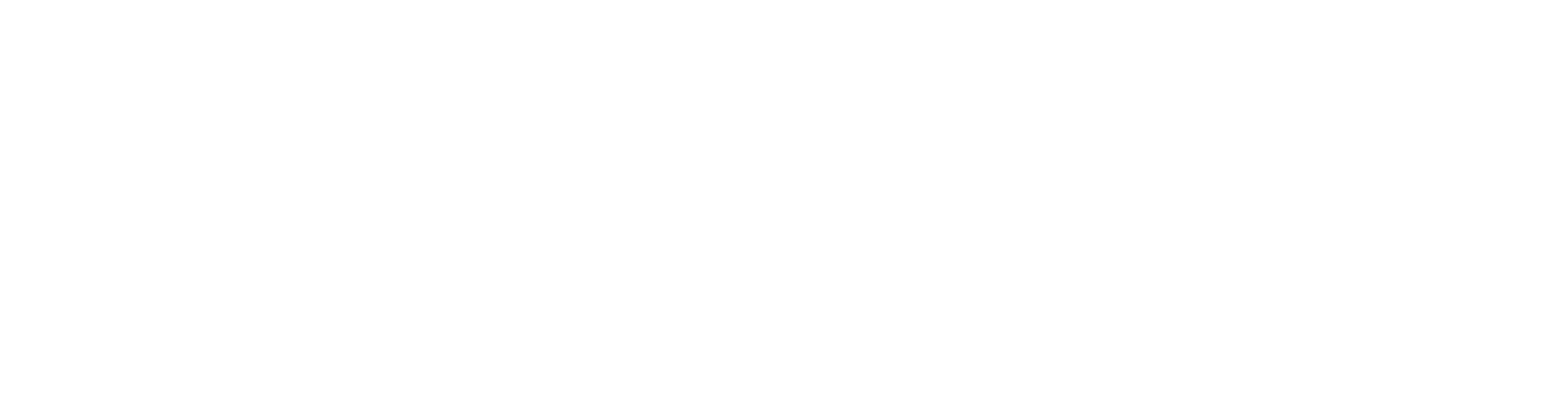 A Private Life
