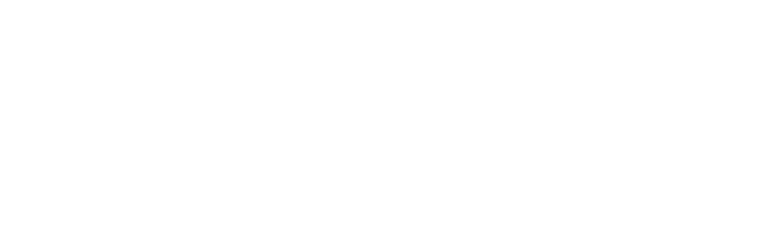 The Assistant