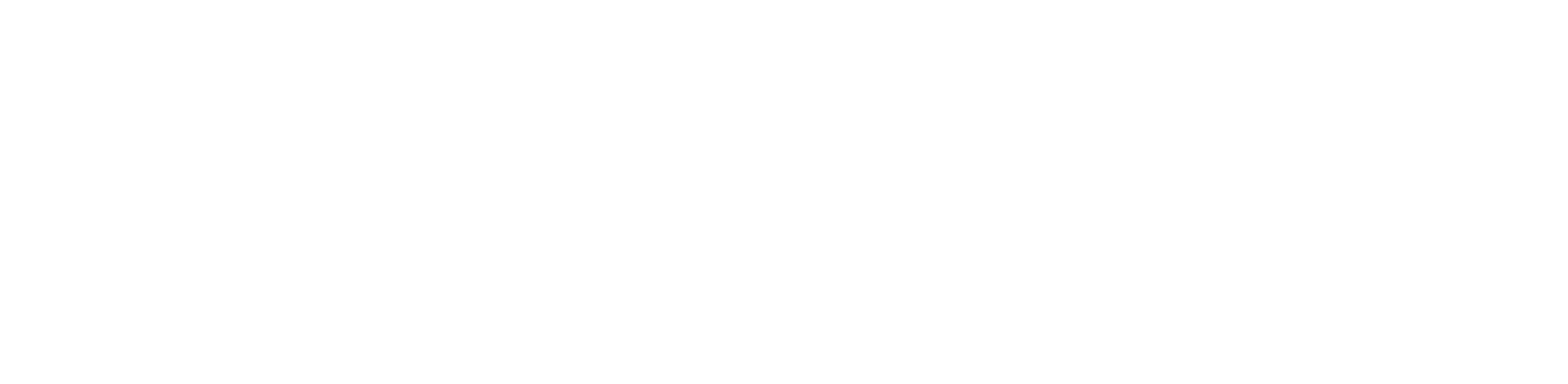 Mr. Scorsese