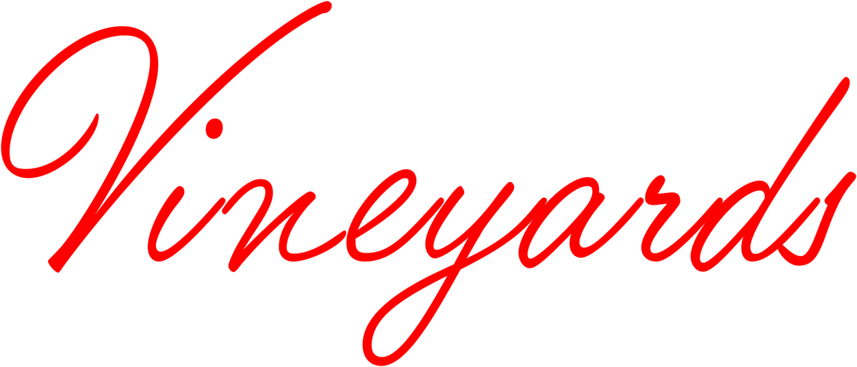 Holiday in the Vineyards