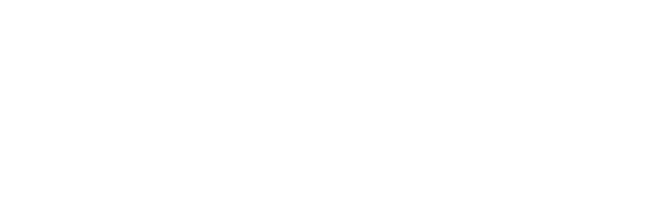 Wasp Network