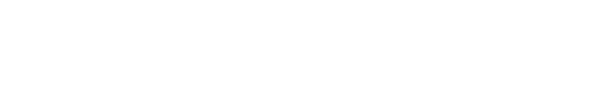 Disconnect: The Wedding Planner
