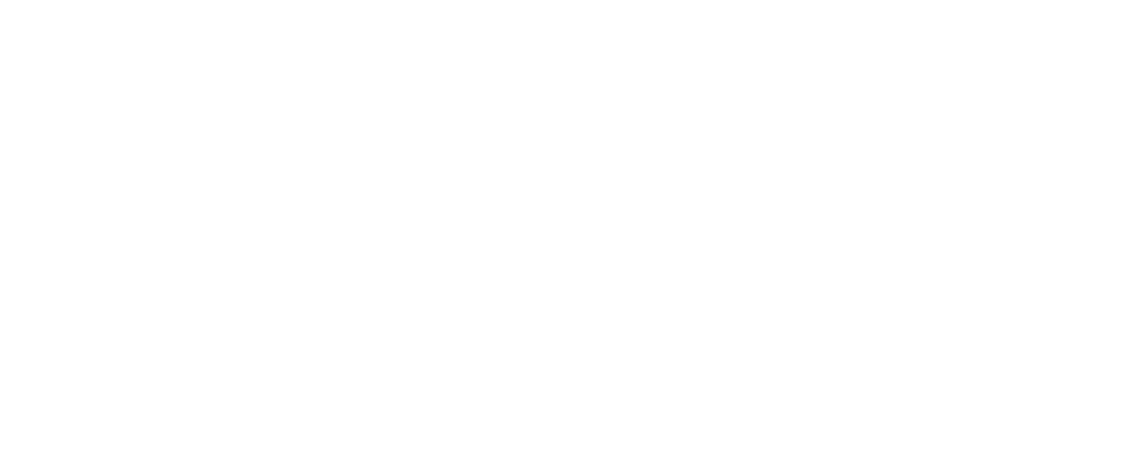 HIP - High Intellectual Potential