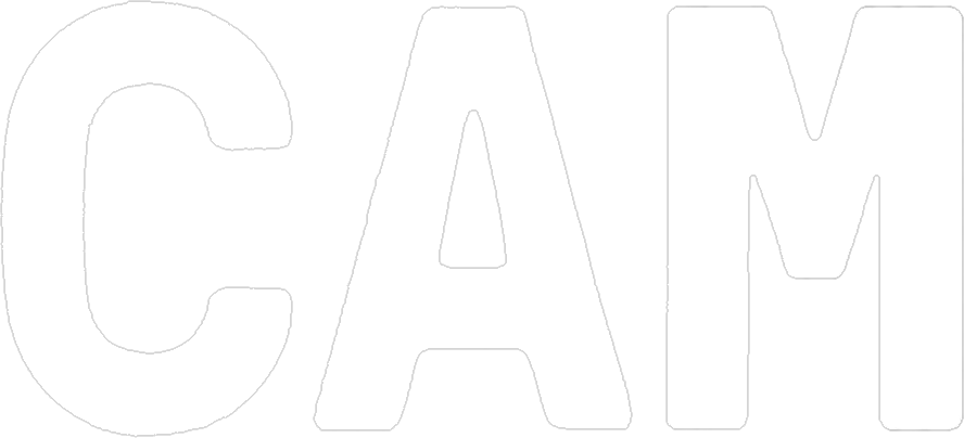 Cam