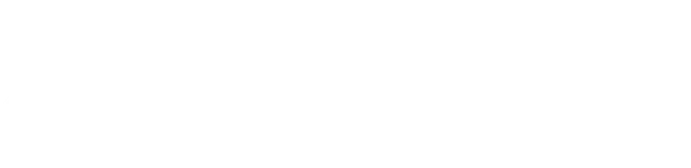 Black Clover: Sword of the Wizard King