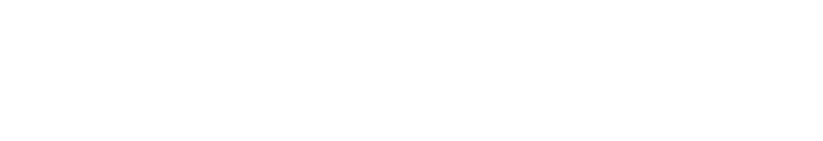Tex Mex Motors