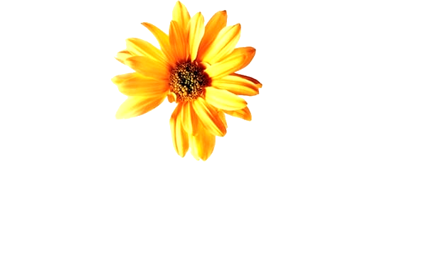 Hope Springs