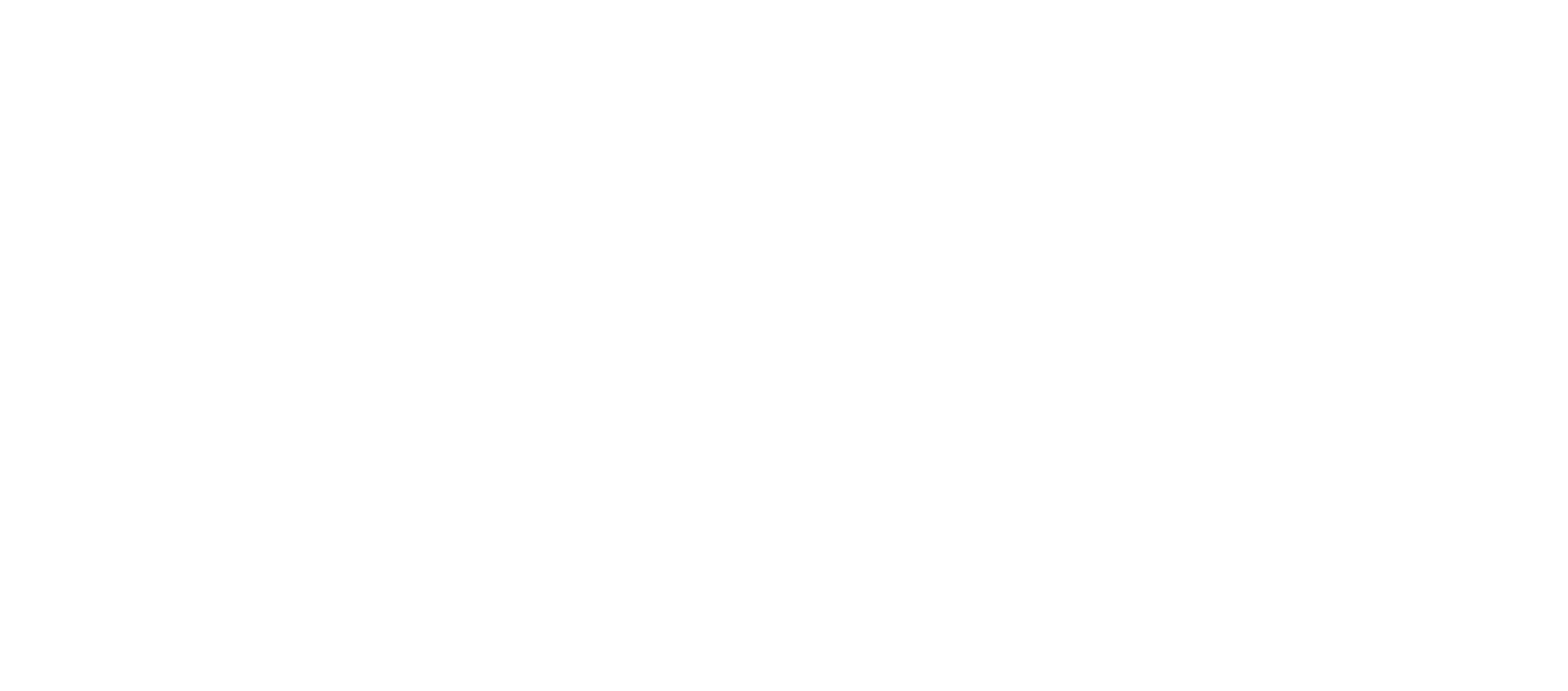 TO BE HERO X