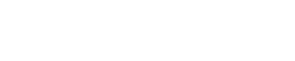 American Manhunt: Osama bin Laden