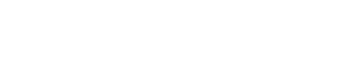 Gone Girls: The Long Island Serial Killer