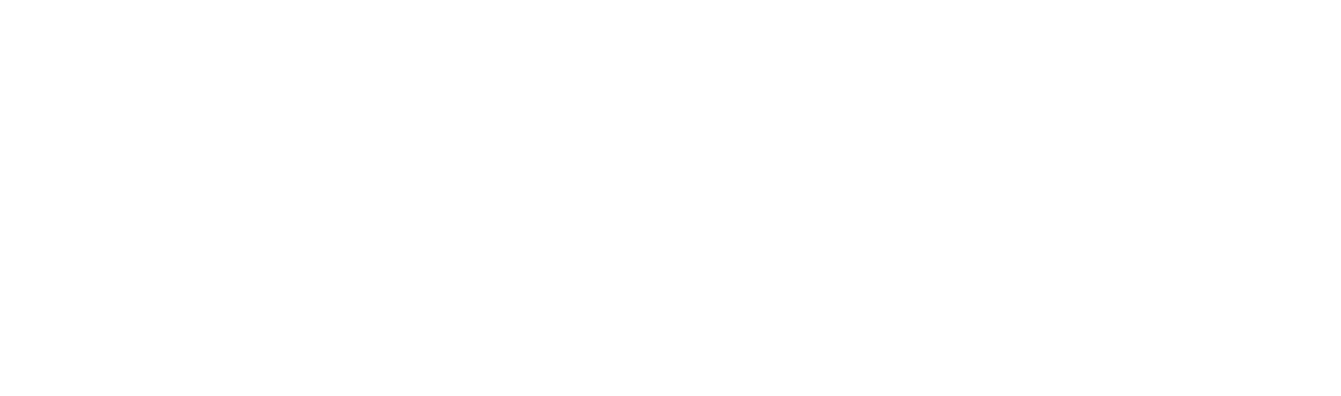 The Flash