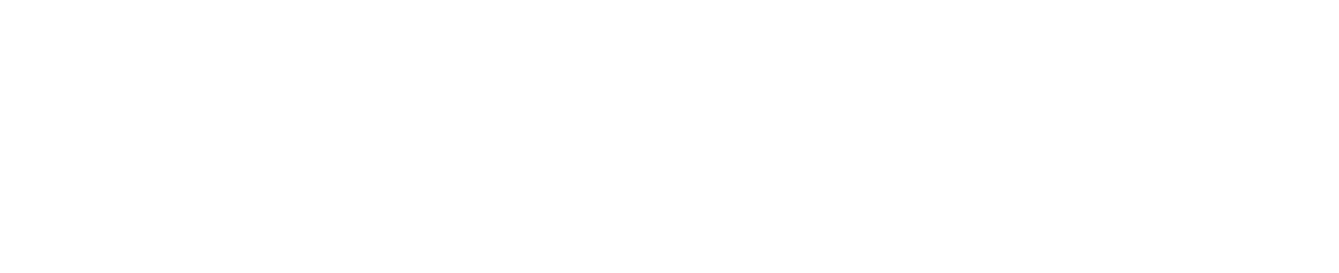 The Lost Flowers of Alice Hart