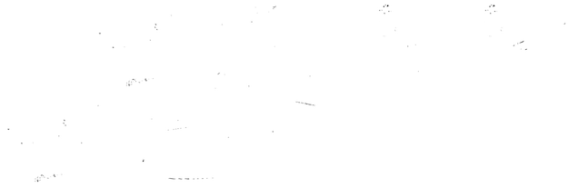 Burning Body