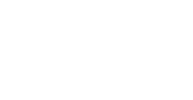 Ride or Die