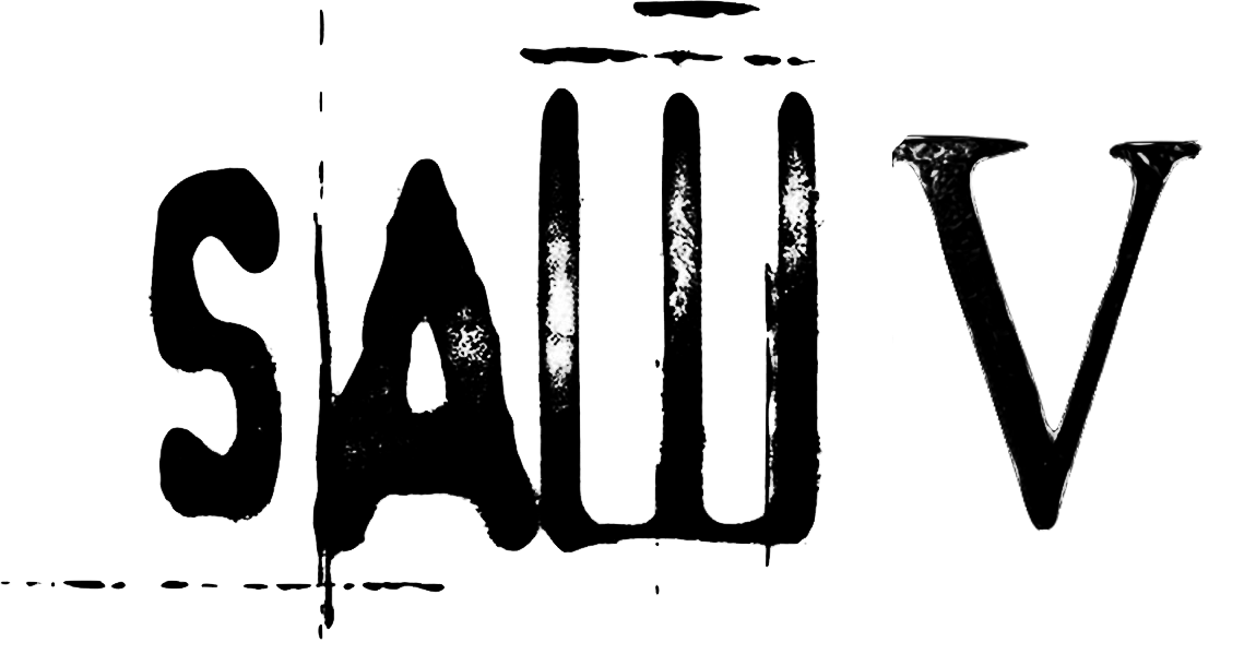 Saw V