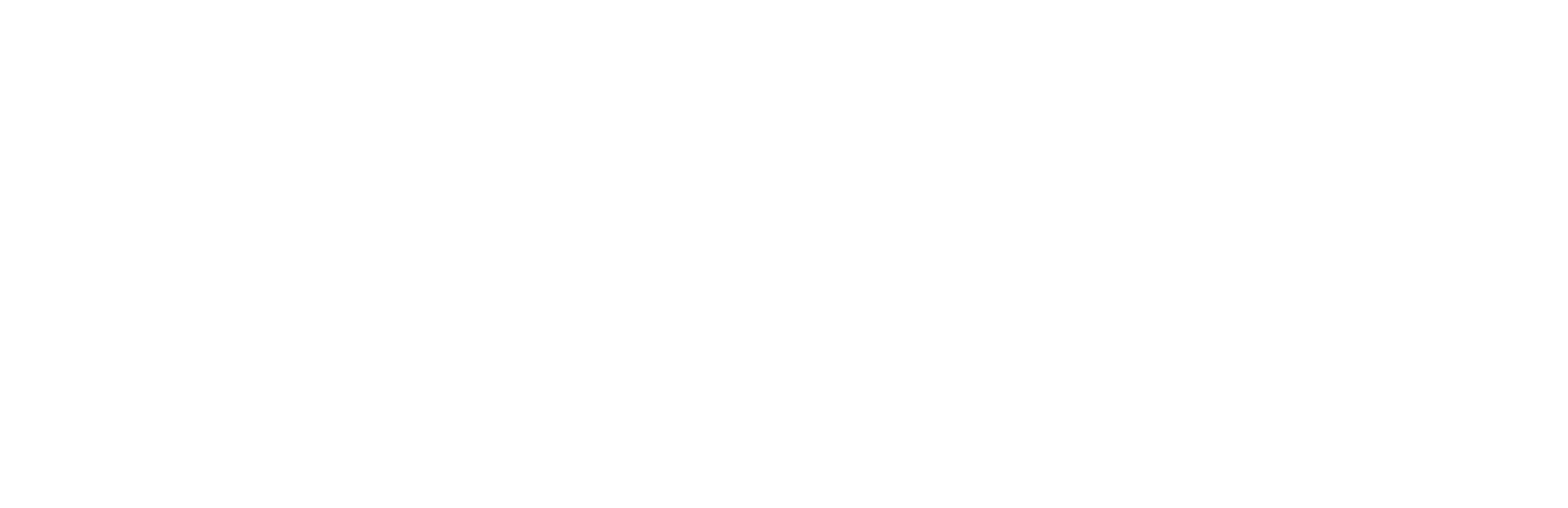 Messi's World Cup: The Rise of a Legend