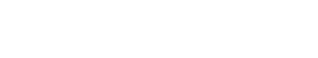 Chicken Nugget