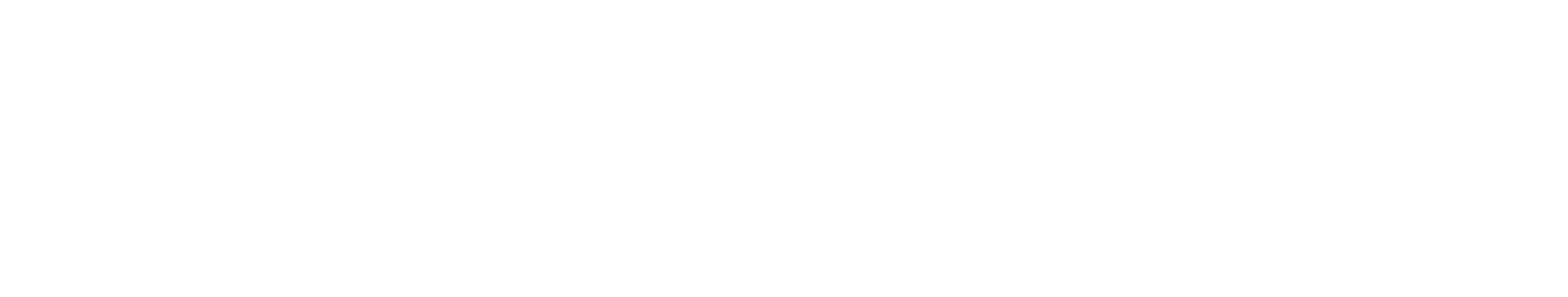 The Invasion