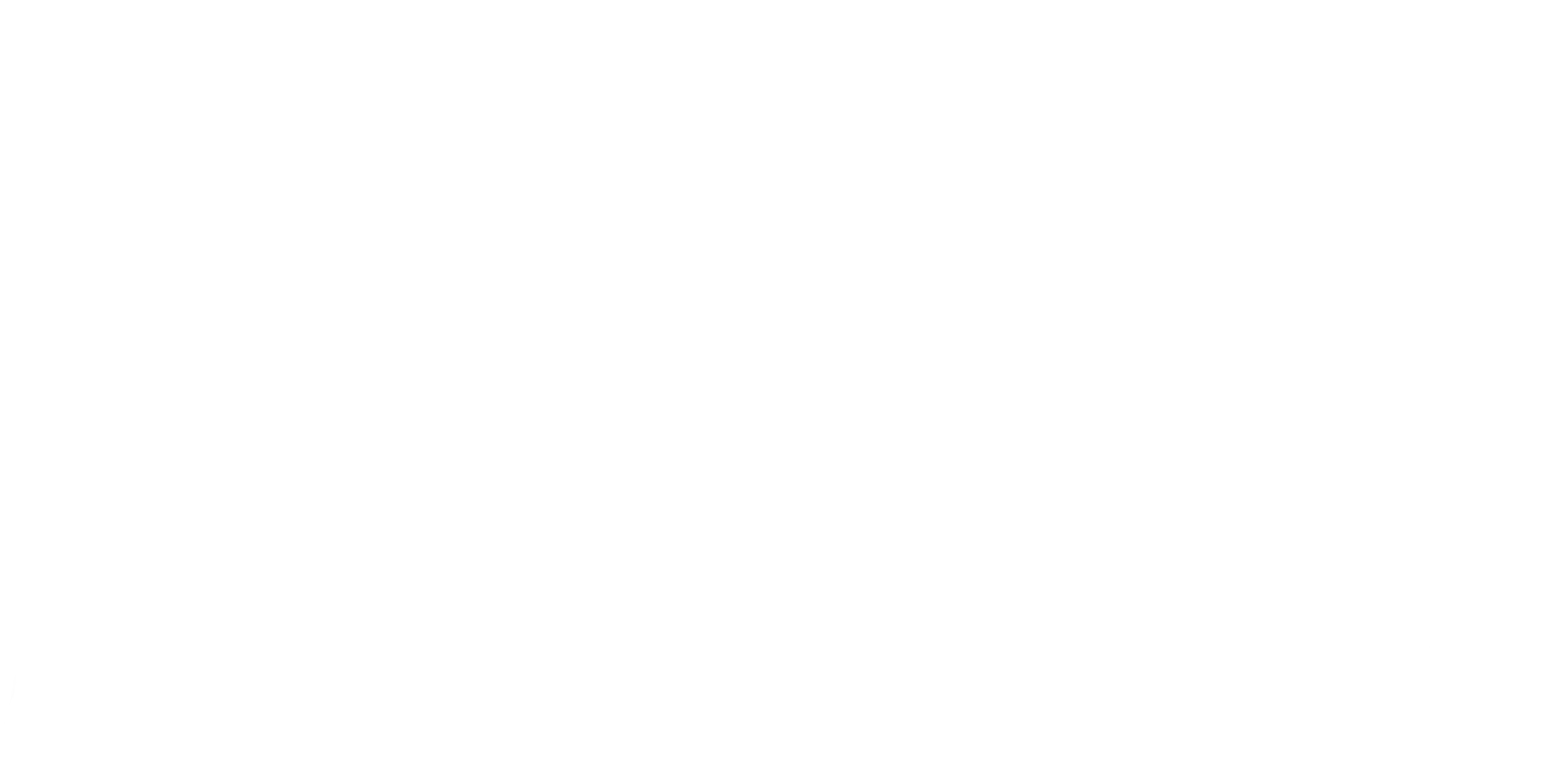 Chicken Run
