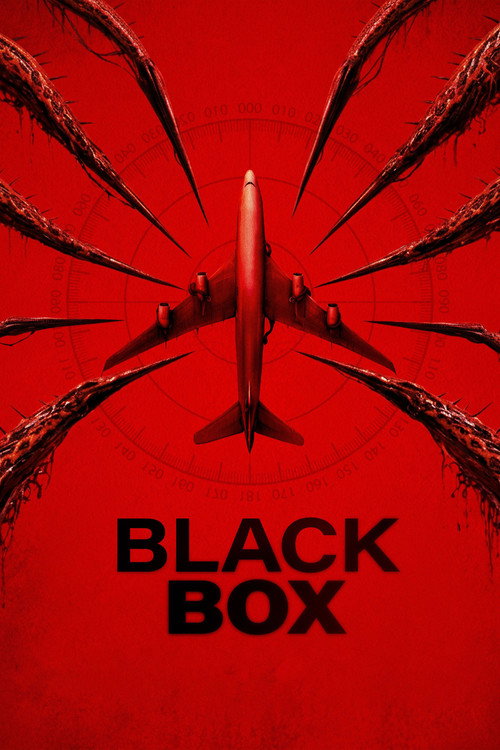 Black Box (Flight 298)