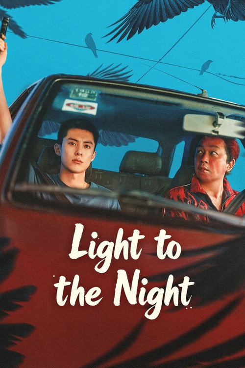 Light to the Night